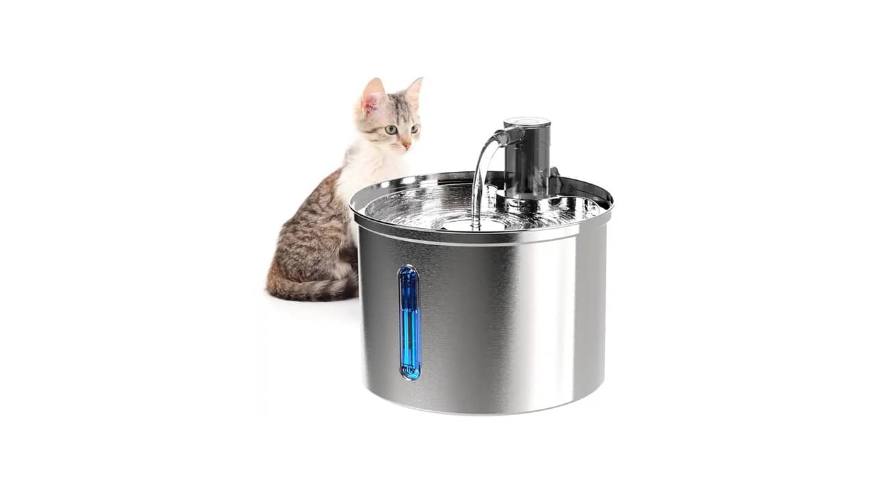 Bebedouro para Gatos: As 10 Melhores Opções com Filtragem e Som Silencioso