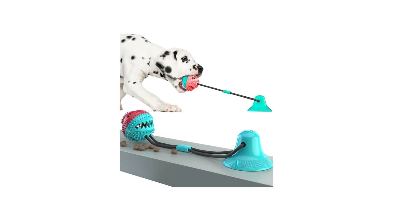 Brinquedos para Cachorro que Fica Sozinho: As 10 Melhores Opções Interativas