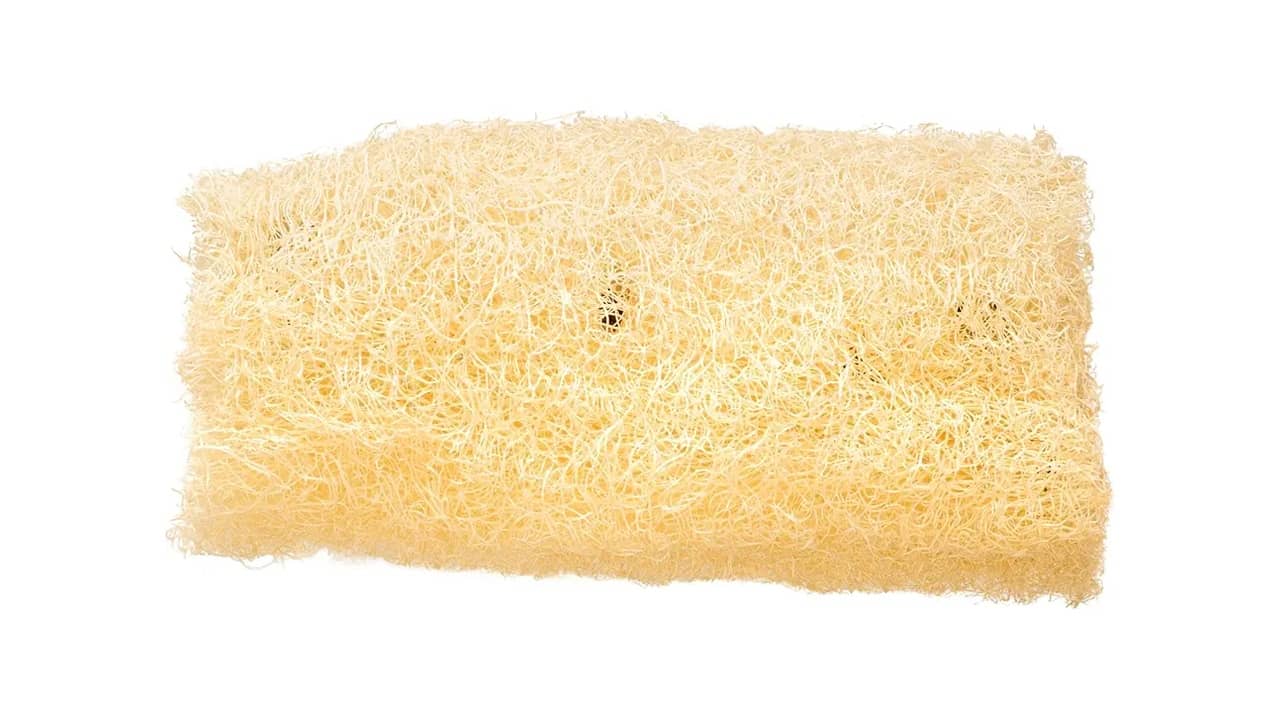 Bucha de Banho: As 10 Melhores Opções Ecológicas e Eficientes