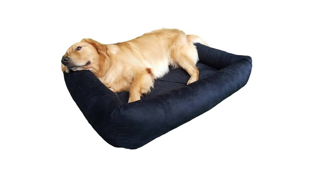 Cama para Cachorro Grande Lavável: As 10 Melhores Opções do Mercado