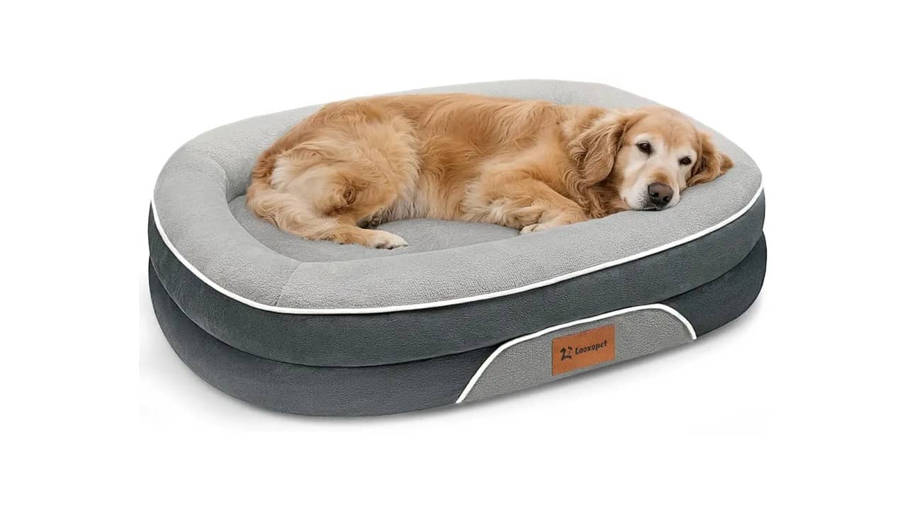 Cama para Cachorro Ortopédica: As 10 Melhores Opções de Conforto e Resistência