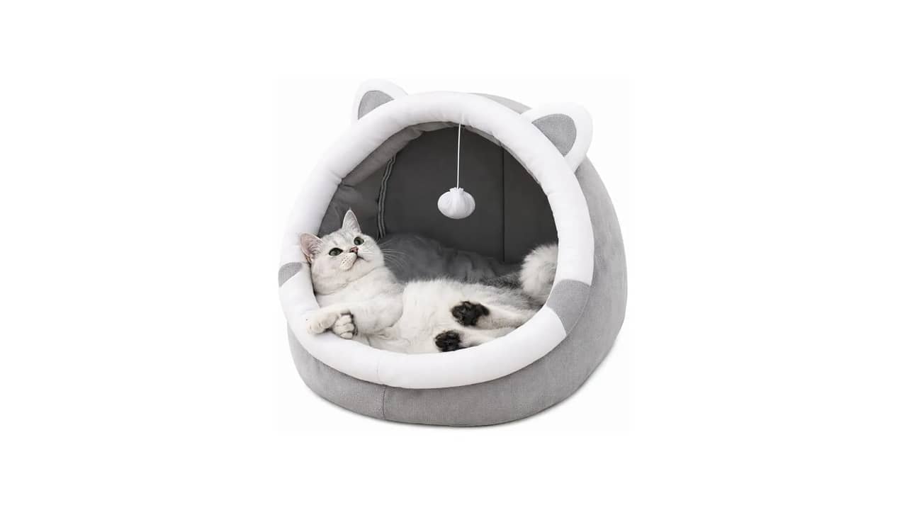 Cama Pet de Verão: As 10 Melhores Opções Respiráveis e Confortáveis