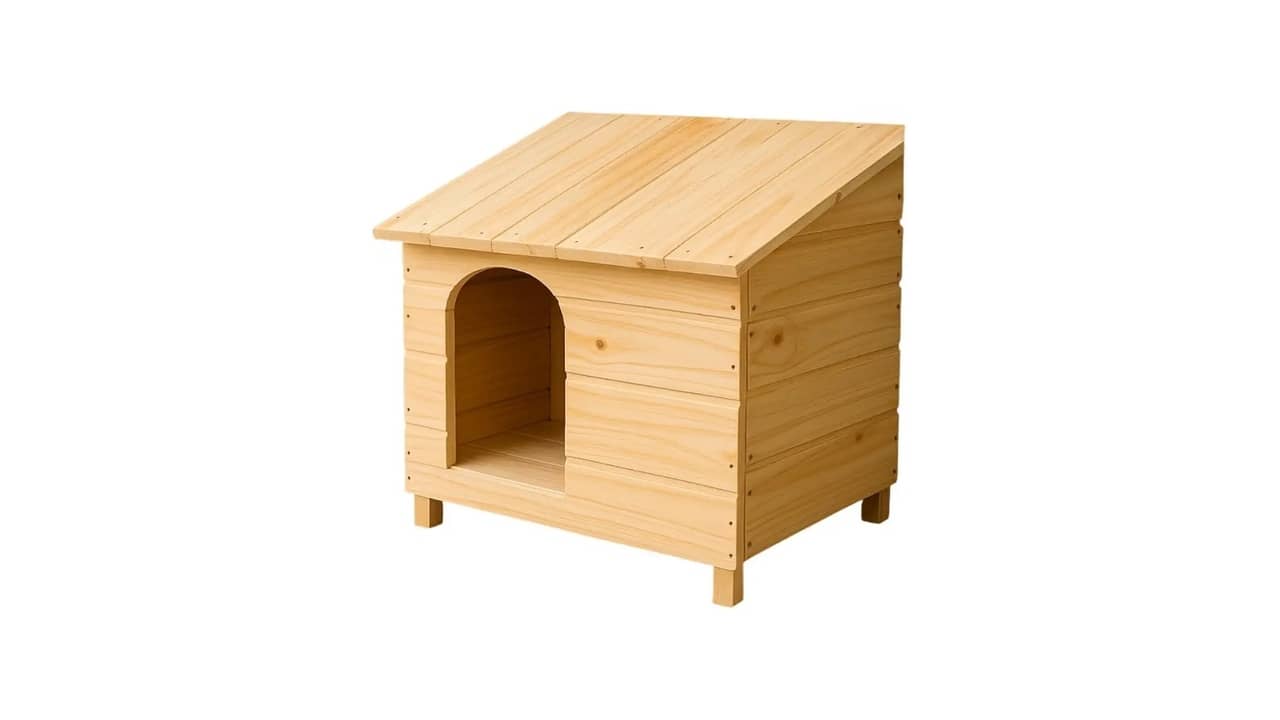 Casinha para Cachorro de Plástico ou Madeira: A Melhor Proteção para Seu Pet
