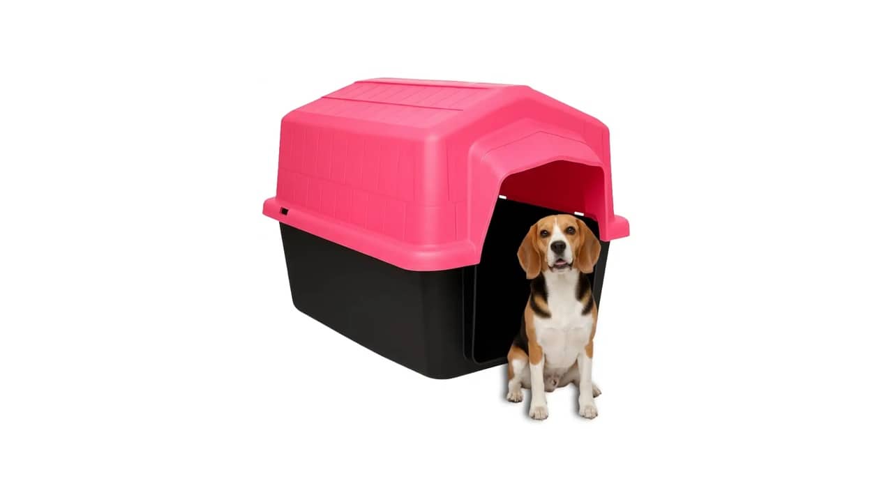 Casinha para Cachorro Grande: As Melhores Opções para Cães Grandes