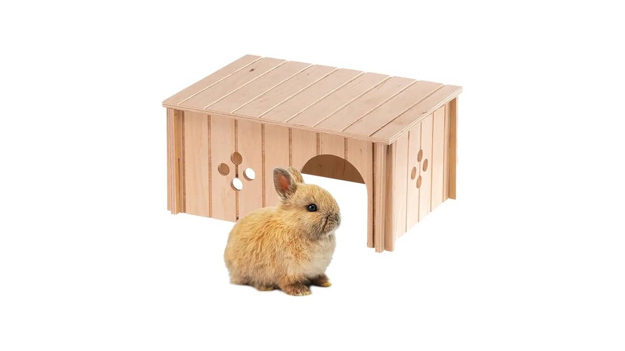 Casinha para Coelho: As 10 Melhores Opções Ecológicas e Duráveis