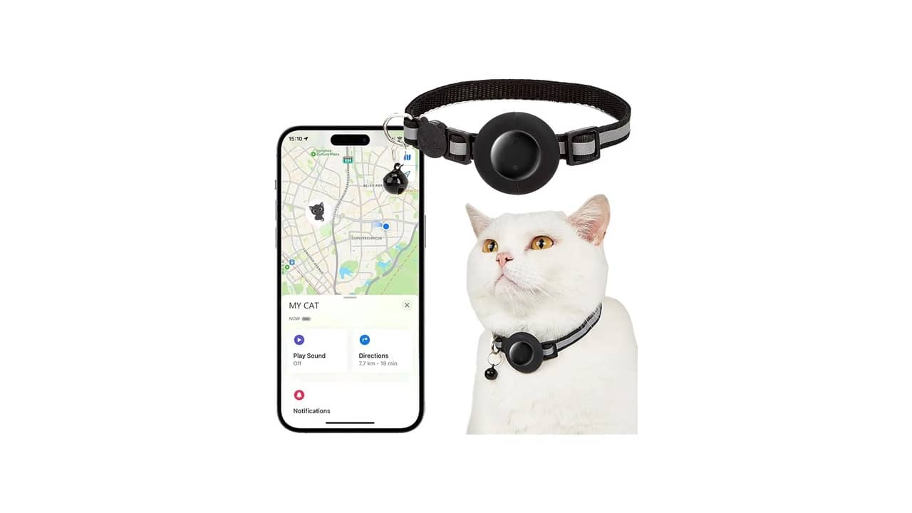 Coleira com GPS para Cachorro e Gato sem Mensalidade: As 10 Melhores Opções