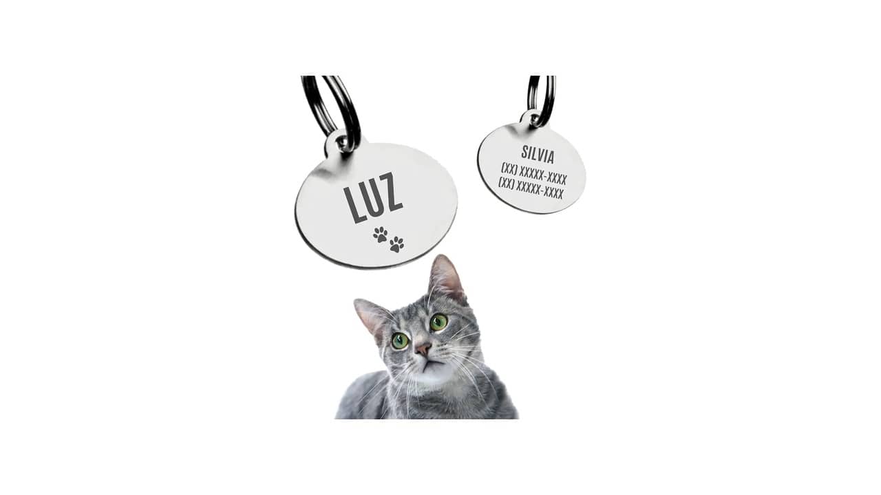 Coleira com Plaquinha de Identificação Personalizada: As Melhores Opções do Mercado