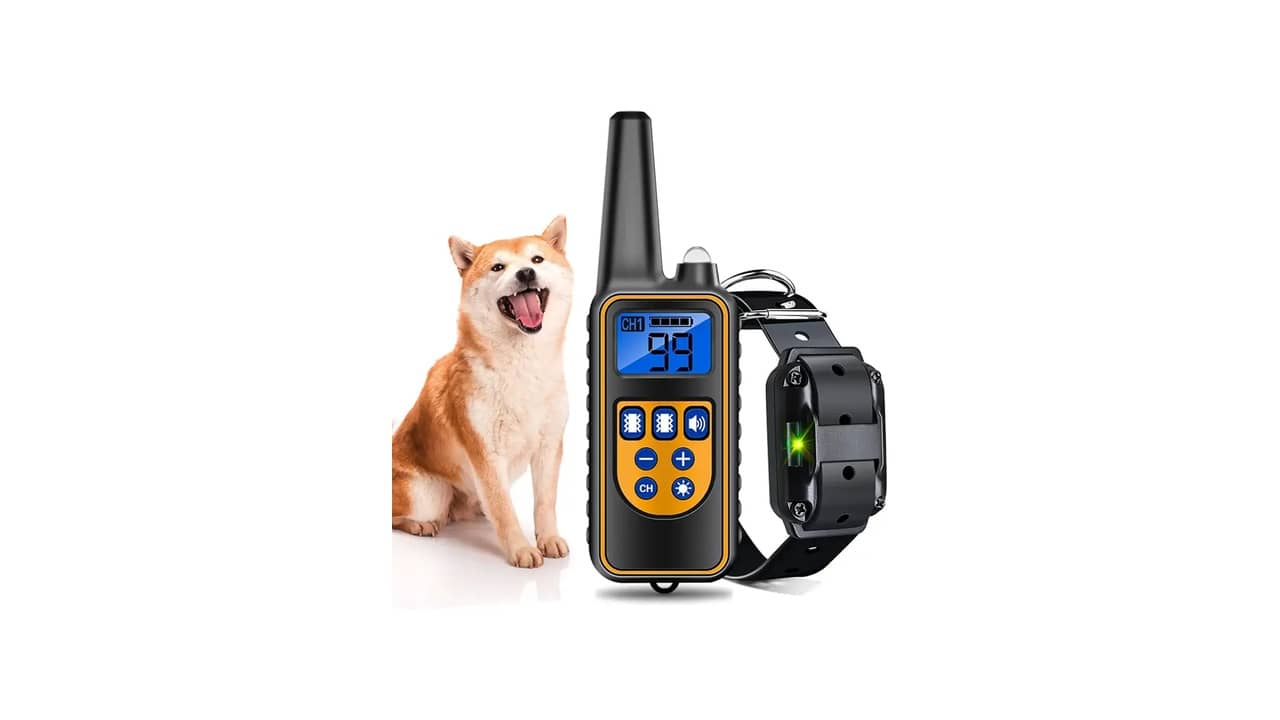 Coleira de Adestramento e Choque para Cachorro: A Melhor Opção para Treinamento Eficaz