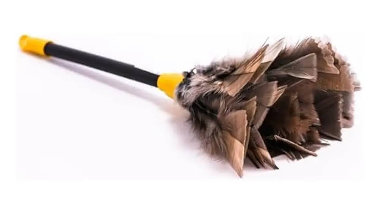 Espanador para Livros e Cortinas: As 10 Melhores Opções do Mercado