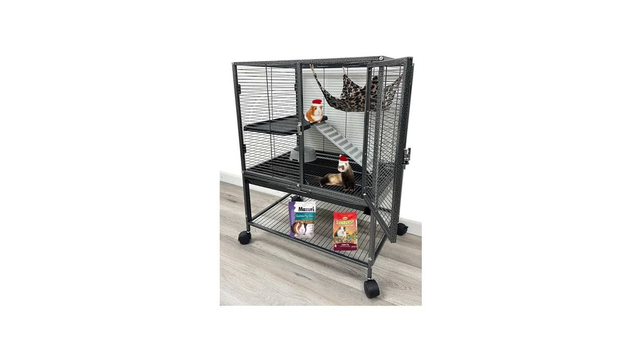 Gaiola Chinchila: As 10 Melhores Opções Duráveis e Espaçosas