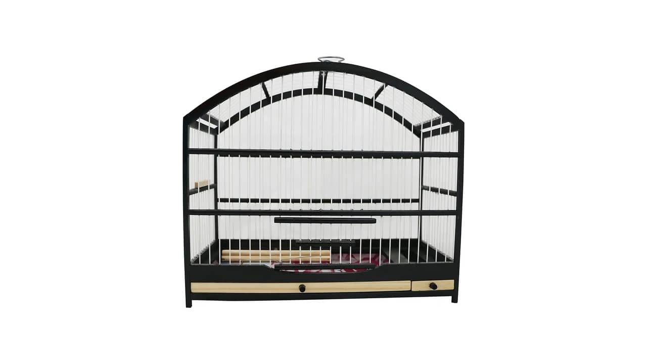 Gaiola Coleiro: As 10 Melhores Opções para Seu Passarinho