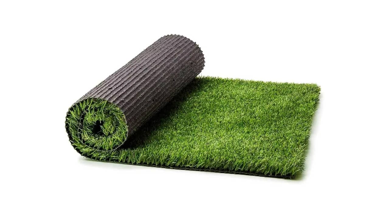Grama para Jardim e Pasto: As 10 Melhores Opções com Proteção UV