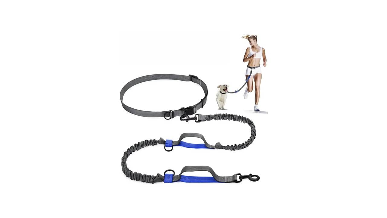 Guia para Corrida: As 10 Melhores Opções para Treino com Seu Pet