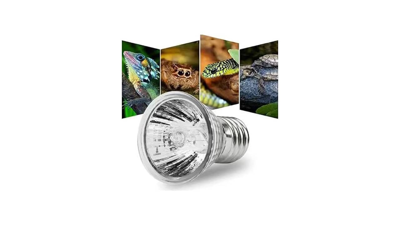 Lâmpada UV para Répteis: As 10 Melhores Opções do Mercado