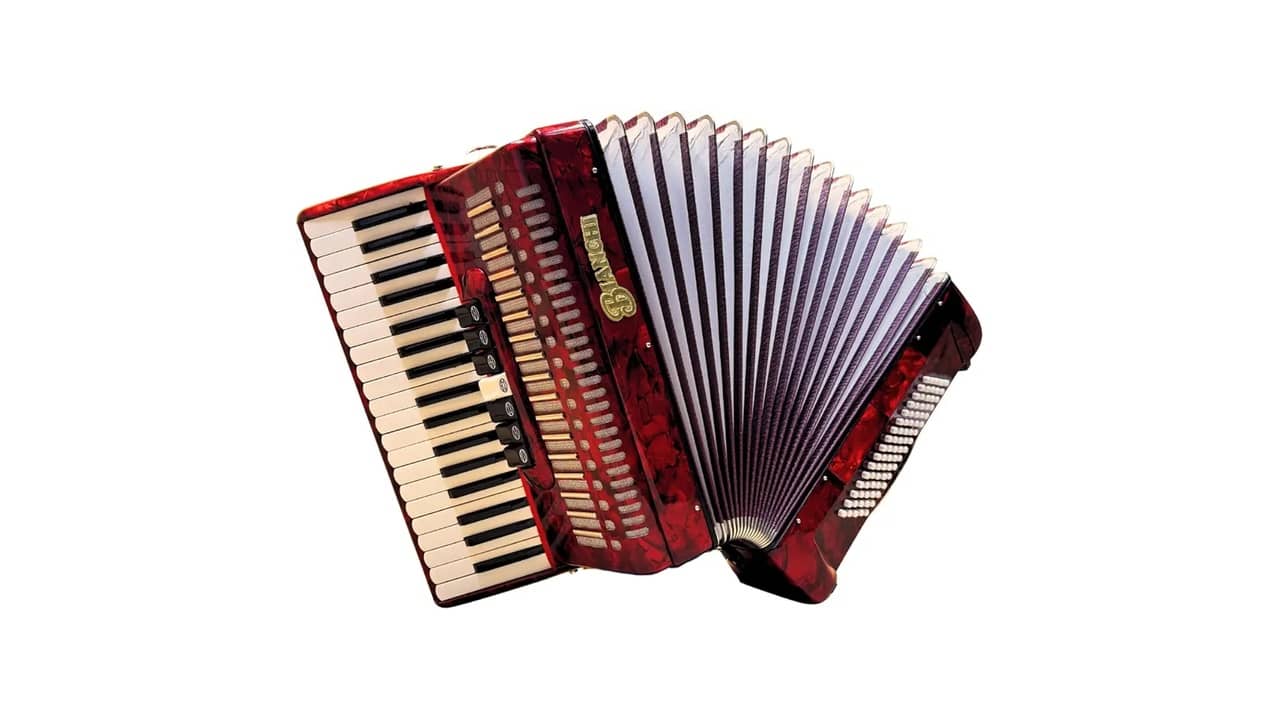 Marca de Acordeão: As 10 Melhores Opções Eletrificadas para Adultos e Iniciantes