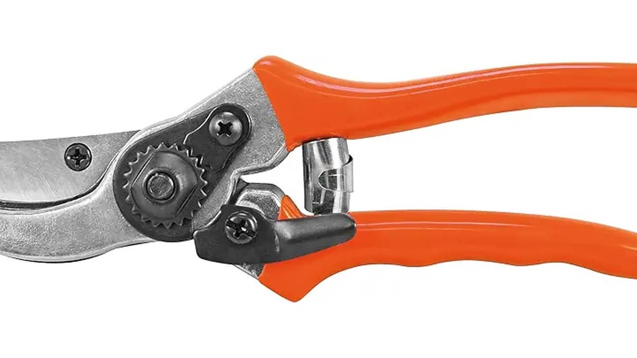 Marca de Tesoura de Poda: A Melhor Opção para Jardinagem