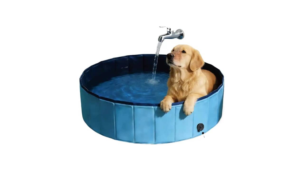 Banheiro para Cachorro: As 10 Melhores Opções Portáteis