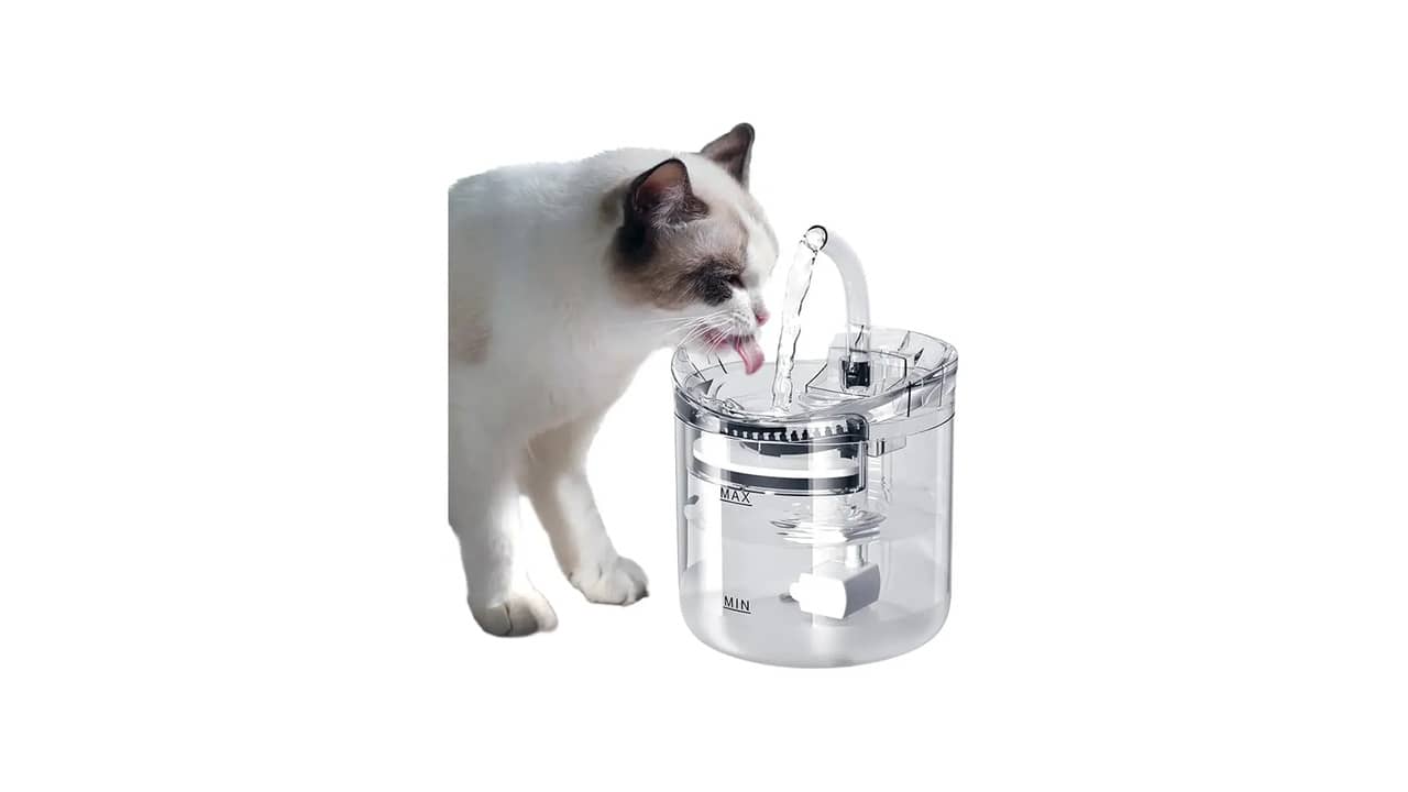 Bebedouro para Gatos: As 10 Melhores Opções com Filtragem e Som Silencioso
