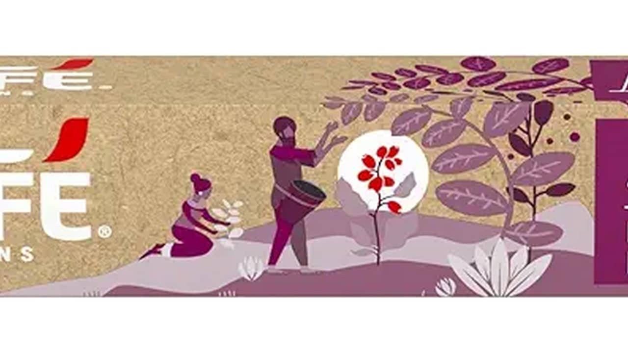 Cápsulas Nespresso: As 10 Melhores Opções para Você