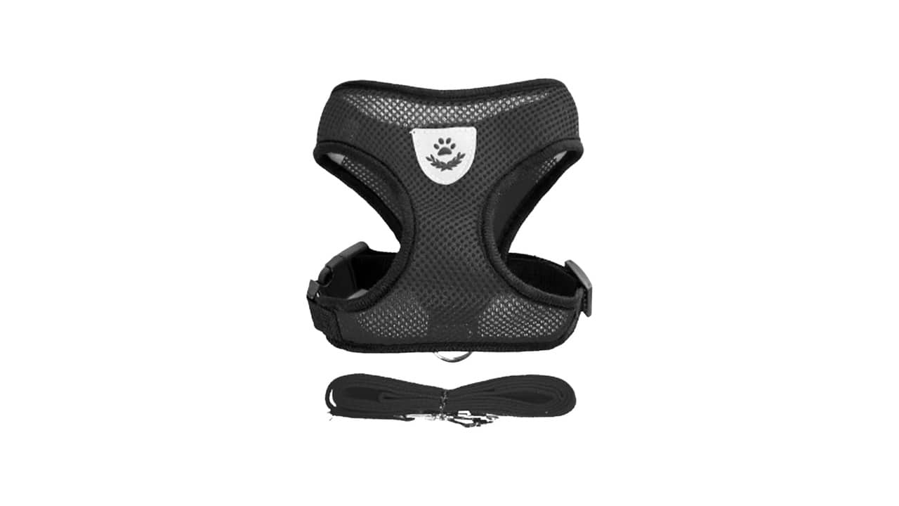 Peitoral Anti-puxão para Cães: As 10 Melhores Opções para Treino e Conforto