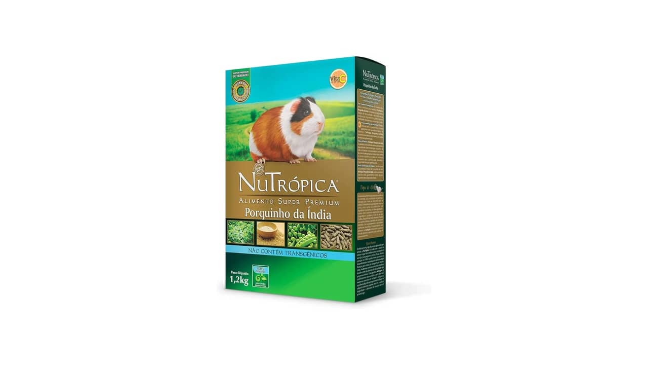 Porquinho da Índia: As 10 Melhores Opções para Casa