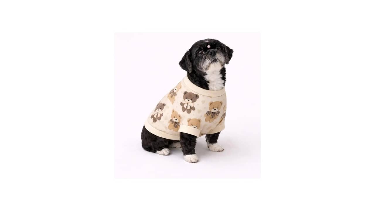 Roupa de Soft para Cachorro: As 10 Melhores Opções para Inverno