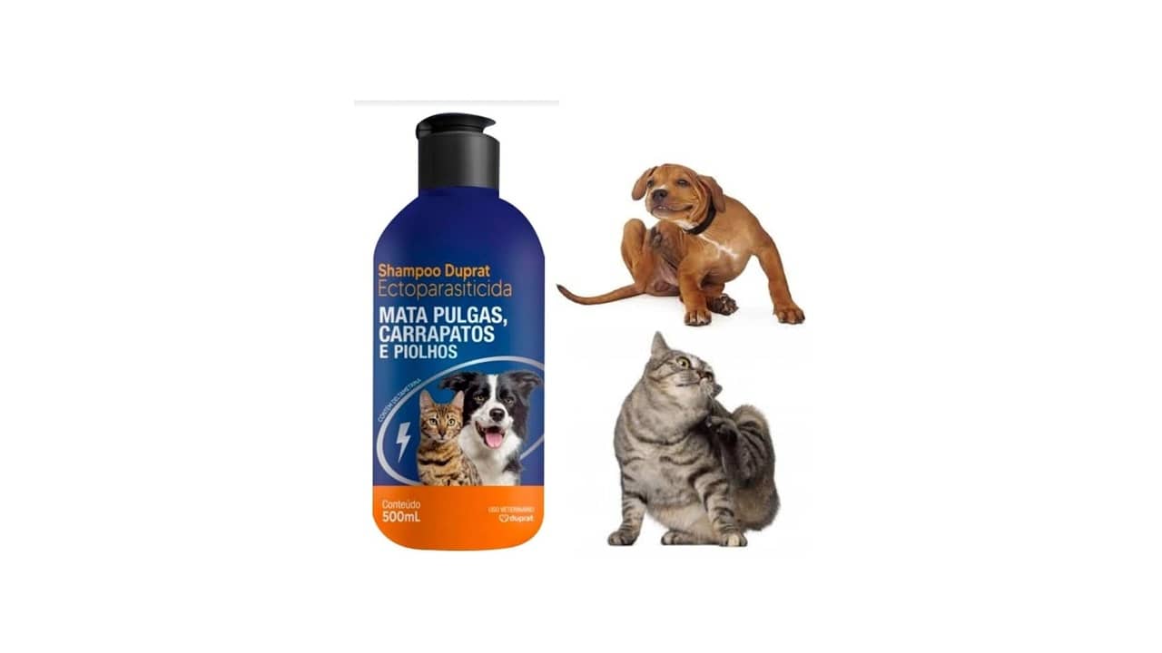 Shampoo Antipulga para Gato: As 10 Melhores Opções Antiparasitárias