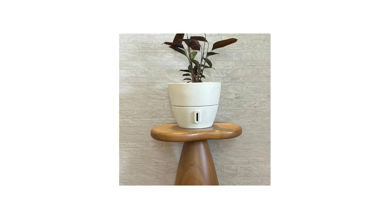 Vaso Autoirrigável para Horta e Plantas: As 10 Melhores Opções para Cultivos Saudáveis