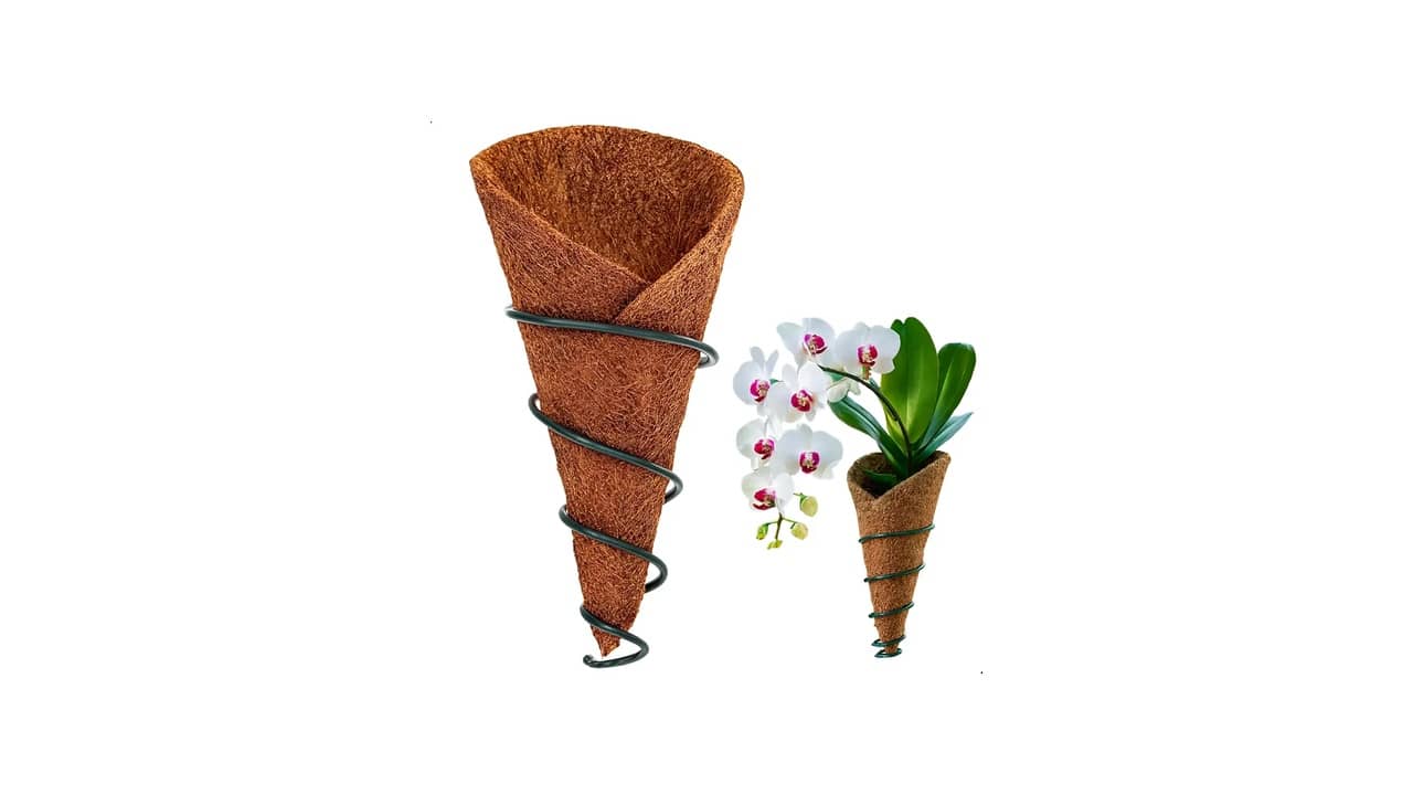 Vaso para Orquídeas: As 10 Melhores Opções para Cultivo Elegante