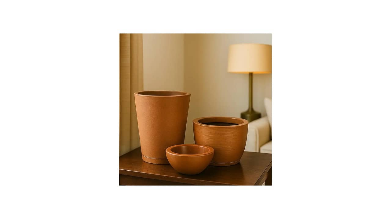 Vaso para Suculentas: As 10 Melhores Opções Decorativas e Funcionais