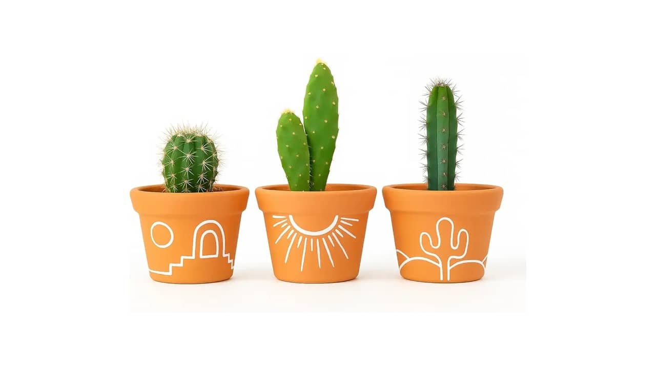 Vasos de Barro ou Cimento: As 10 Melhores Opções para Decorar e Plantar