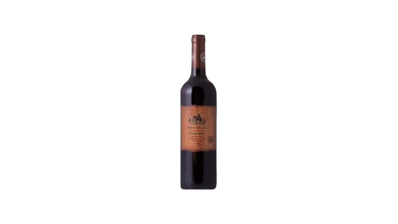 Vinhos até 100 Reais: As 10 Melhores Opções para Diversificar seu Acervo